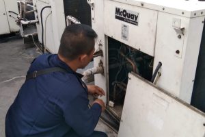 WhatsApp Image 2025-04-29 at 11.35.42